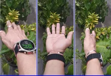 Avis clients – Bracelet magnétique silicone 20 et 22 mm Amazfit