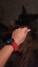 Avis clients – Bracelet nylon tressé 20 à 22 mm universel
