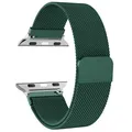 Bracelet boucle milanaise pour Apple Watch 38 à 49 mm – Couleur du bracelet Pine Green 19