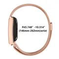 Bracelet milanais acier inoxydable Whoop 5.0 réglable – 6