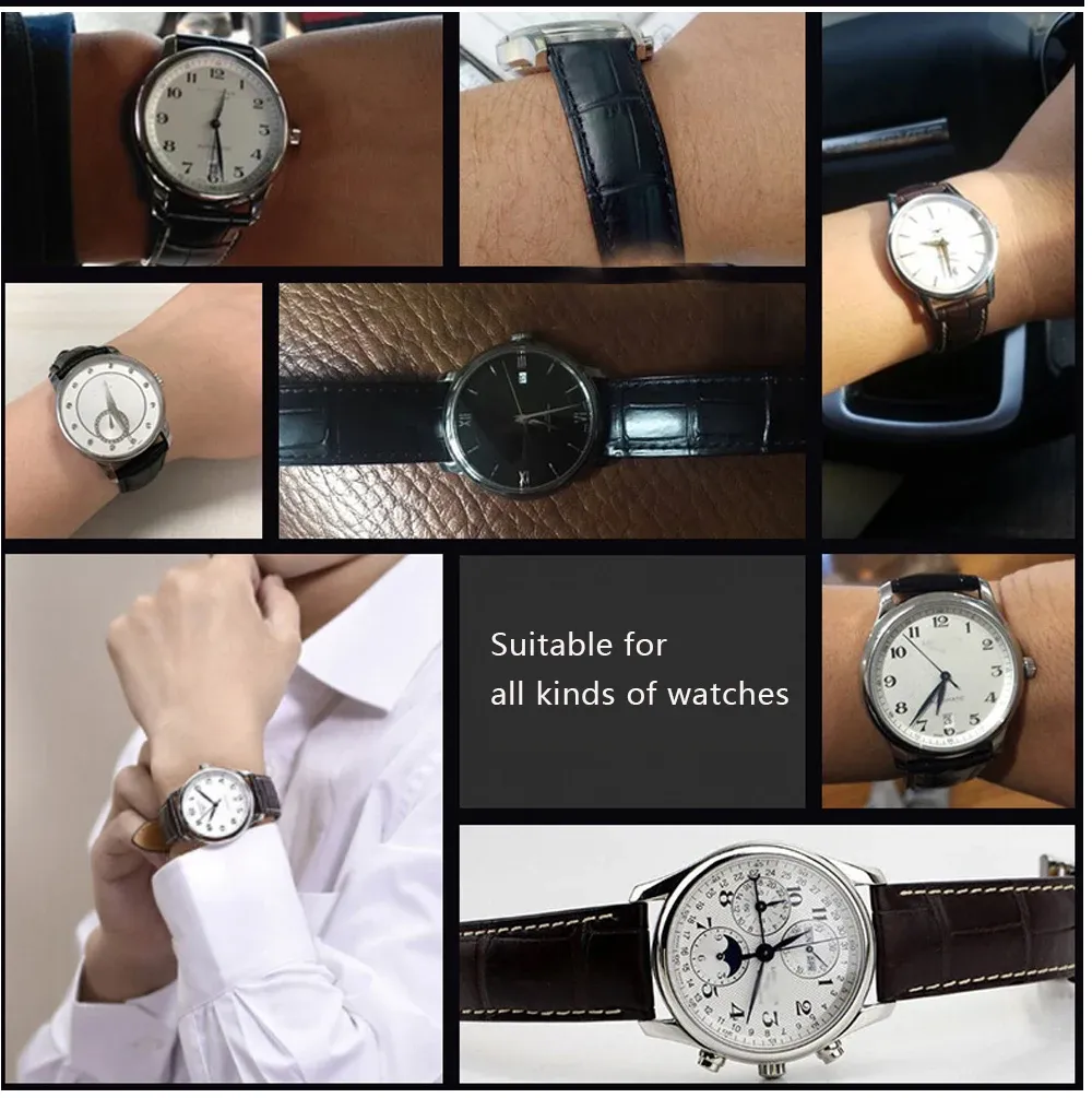 Bracelet montre cuir alligator 18 à 28 mm