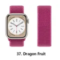 Bracelet nylon Correa 40 à 49 mm pour Apple Watch – Couleur du bracelet 37 Dragon Fruit