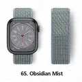 Bracelet nylon Correa 40 à 49 mm pour Apple Watch – Couleur du bracelet 65 Obsidian Mist