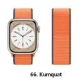 Bracelet nylon Correa 40 à 49 mm pour Apple Watch – Couleur du bracelet 66 Kumquat