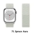 Bracelet nylon Correa 40 à 49 mm pour Apple Watch – Couleur du bracelet 71 Spruce Aura
