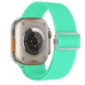 Bracelet nylon élastique 38 à 49 mm pour Apple Watch – Couleur du bracelet spearmint 53