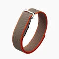 Bracelet nylon tressé sport pour Google Fitbit Air – Couleur du bracelet BrownOrange