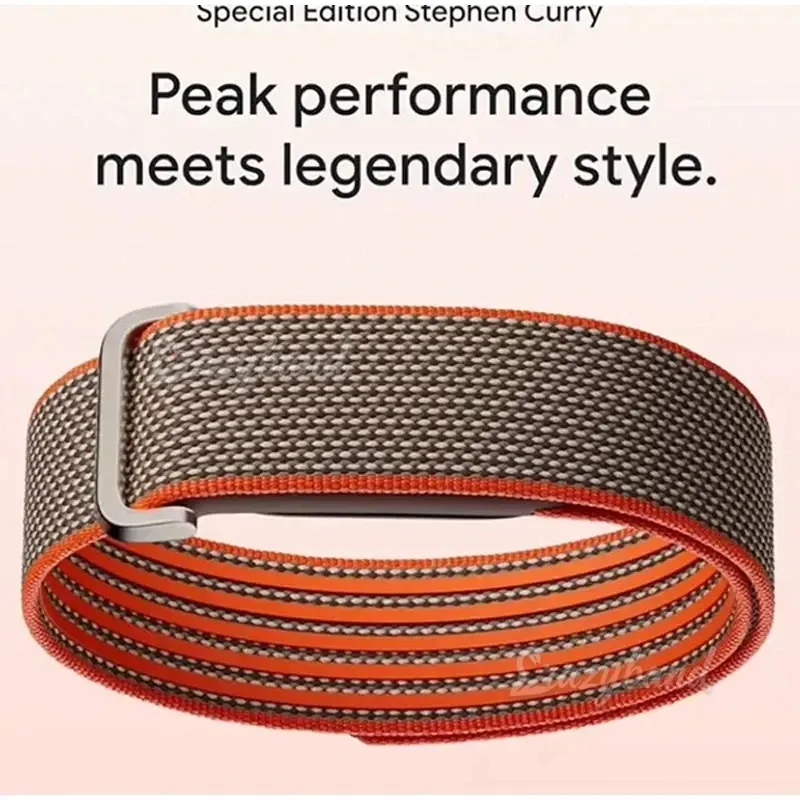 Bracelet nylon tressé sport pour Google Fitbit Air