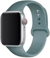 Bracelet silicone Apple Watch 38 à 49 mm sport – Couleur du bracelet Cactus