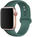 Bracelet silicone Apple Watch 38 à 49 mm sport – Couleur du bracelet Ovile