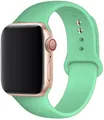 Bracelet silicone Apple Watch 38 à 49 mm sport – Couleur du bracelet Spearmint