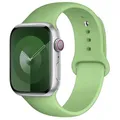 Bracelet silicone pour Apple Watch 38 à 49 mm – Couleur du bracelet 1 mint