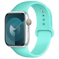 Bracelet silicone pour Apple Watch 38 à 49 mm – Couleur du bracelet 21 Ice blue