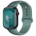 Bracelet silicone pour Apple Watch 38 à 49 mm – Couleur du bracelet 48 Pine green