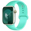 Bracelet silicone pour Apple Watch 38 à 49 mm – Couleur du bracelet 50 Spearmint