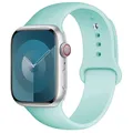 Bracelet silicone pour Apple Watch 38 à 49 mm – Couleur du bracelet 60 beryl
