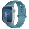 Bracelet silicone pour Apple Watch 38 à 49 mm – Couleur du bracelet 62 cactus