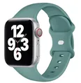 Bracelet silicone pour Apple Watch 38 à 49 mm – Couleur du bracelet Cactus 27