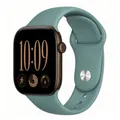 Bracelet silicone pour Apple Watch 38 à 49 mm – Couleur du bracelet Cactus