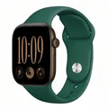 Bracelet silicone pour Apple Watch 38 à 49 mm – Couleur du bracelet Pcific Green