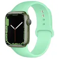Bracelet sport silicone pour Apple Watch 38 à 49 mm – Couleur du bracelet 33 fragrant green