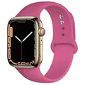 Bracelet sport silicone pour Apple Watch 38 à 49 mm – Couleur du bracelet 38 pitaya