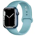 Bracelet sport silicone pour Apple Watch 38 à 49 mm – Couleur du bracelet 49 cactus